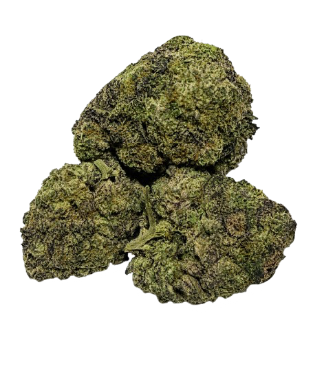 Hybrid cannabis flower